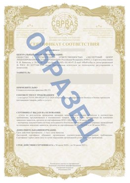 Образец Сертификат СТО 01.064.00220722.2-2020 Сергач Сертификат СТО 01.064.00220722.2-2020 